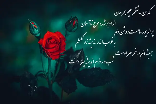 اشعار عاشقانه فردوسی