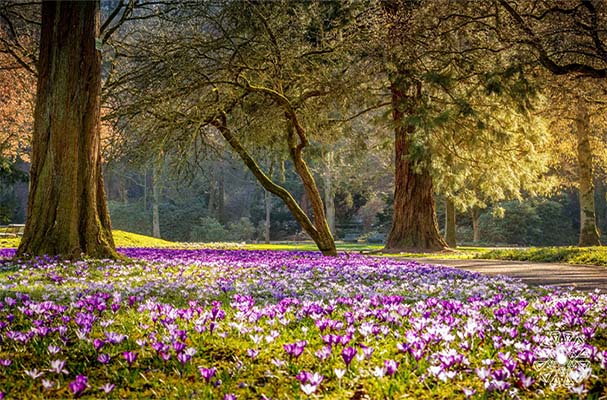 نوروز در اشعار شاعران کلاسیک